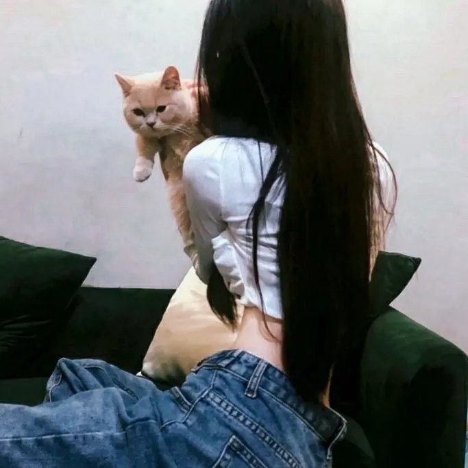 孔雀南飞